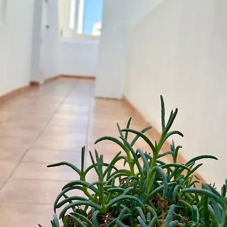 Apartmán Red Playa Honda (Lanzarote)