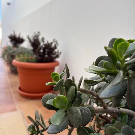 Red Lägenhet Playa Honda (Lanzarote)