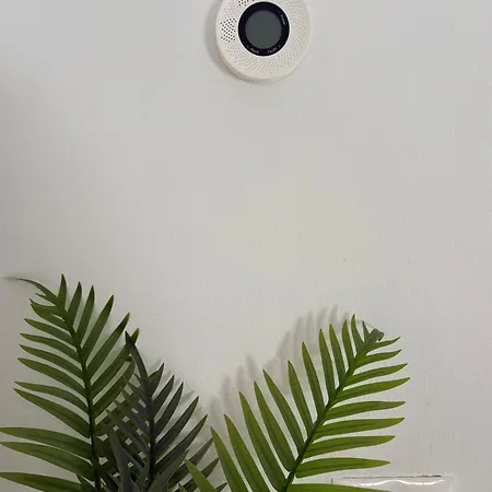 Apartament Red